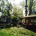 PARK LINOWY (42)